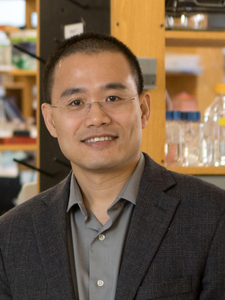 Yibin Kang